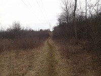 Cherry Hill Nature Preserve 2017.  Trail runs along the high tension lines, this is actually out of the preserve. : kasdorf, nature preserve, Rave Run, running, Trail Run
